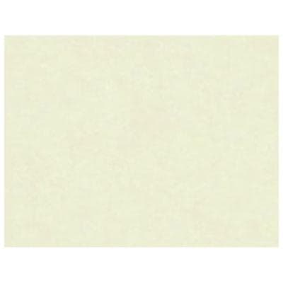 Faux-Parchment Certificates, 8.5 x 11, Ivory, 50 Sheets