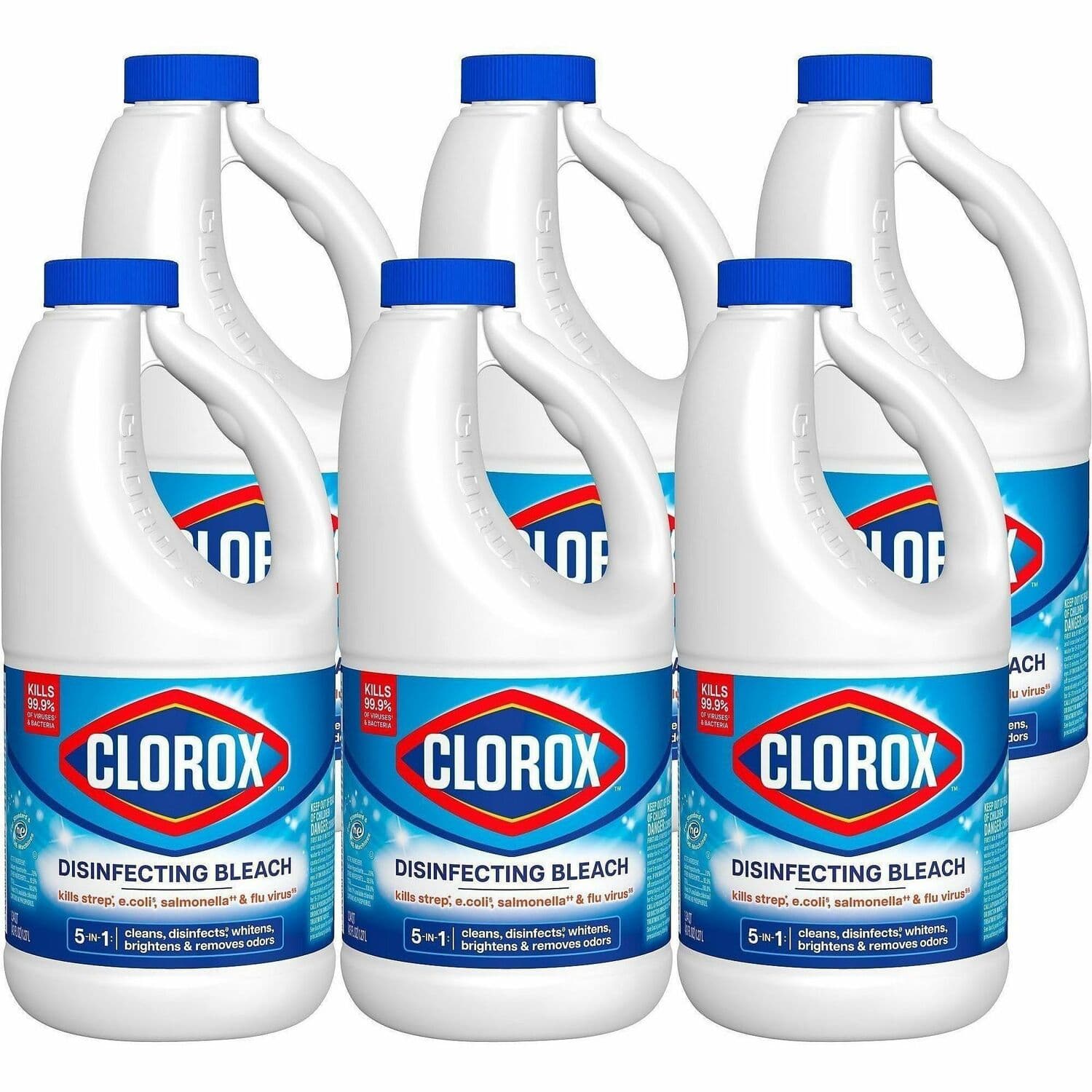 Clorox Disinfecting Bleach